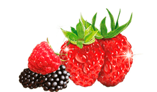 fresas y frutos rojos